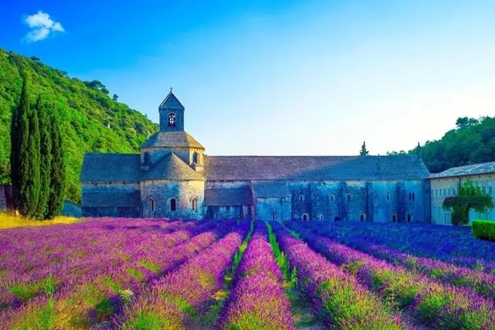 沛得洗護(hù)，源自法國的高端洗護(hù)品牌