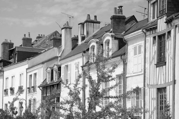 purplelavender洗護品牌招商，與您共創輝煌