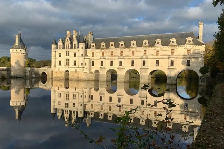Purple Lavender代理，品質(zhì)生活從選擇開始