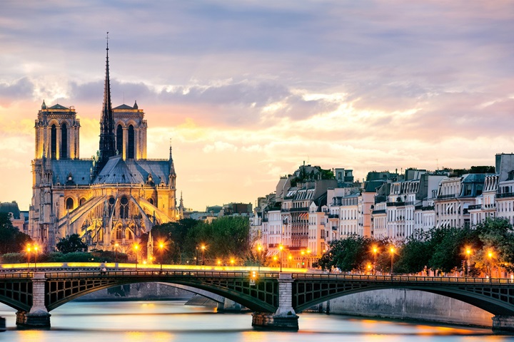 Purple Lavender沛得：高端洗護(hù)加盟新機(jī)遇