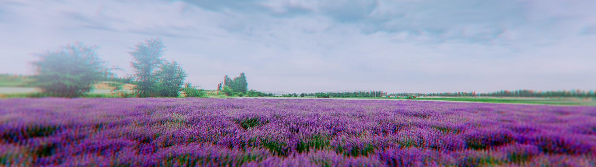 洗護(hù)品牌產(chǎn)品中心