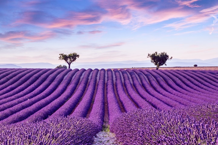 沛得新店加盟計劃：攜手共創(chuàng)男士洗護新篇章